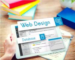 Web Design 2 - Vividh Business Solution